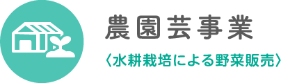 農園芸事業〈水耕栽培による野菜販売〉